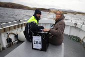 People vote in Ireland's general election, on the island of Gola