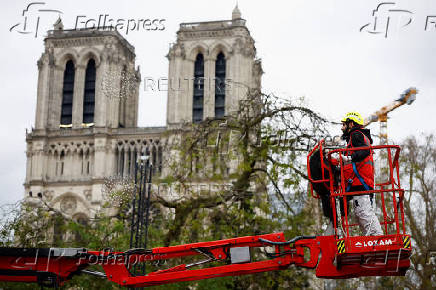 Paris Notre-Dame Cathedral re-opens, five and a half years after a devastating fire