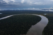 Vista area do rio Javari, em Atalaia do Norte