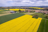 A drone view shows rapeseed fields in Oulens-sous-Echallens