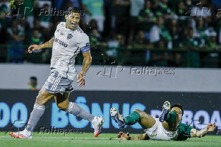 BRASILEIRO A 2024, PALMEIRAS X ATLETICO-MG