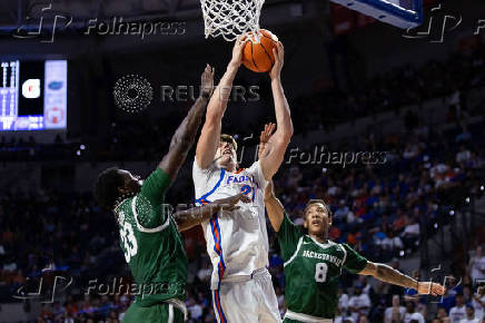 NCAA Basketball: Jacksonville at Florida