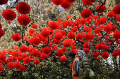 Decorations before Lunar New Year celebrations, in Beijing