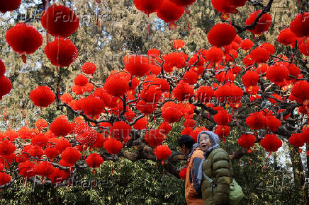 Decorations before Lunar New Year celebrations, in Beijing