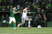 Partida entre Palmeiras e Atltico MG pelo Campeonato Brasileiro