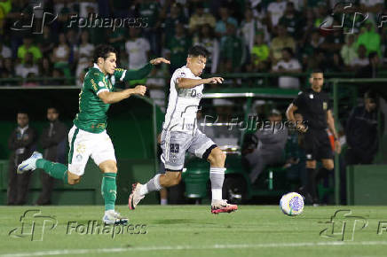 Partida entre Palmeiras e Atltico MG pelo Campeonato Brasileiro