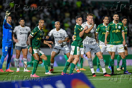 Palmeiras X Atltico MG