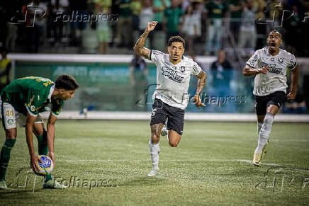 Campeonato Brasileiro Srie A1 - Palmeiras x Botafogo