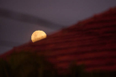 Fenmeno da Lua Cheia Rosa visto de Rio Claro, SP