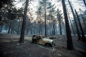 The Bridge Fire burns the mountain communities to the northeast of Los Angeles, in Wrightwood