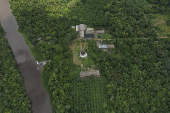 Vista de drone da Eco-Fazenda Escola Pat An, em Breves (PA)