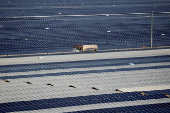 A general view of installed solar panels at the Khavda Renewable Energy Park of Adani Green Energy Ltd (AGEL), in Khavda
