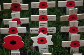 Field of Remembrance at Westminster Abbey in London