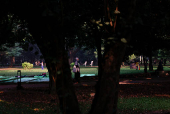 People exercise at Ramna Park in the morning, in Dhaka