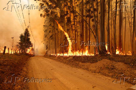 Especial queimadas, seca e clima seco no pas