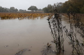 Northern California storms