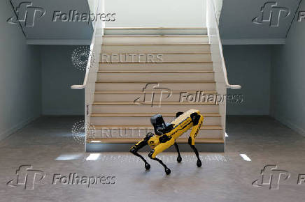 A view of a Boston Dynamics dog robot after descending a staircase in the CMA CGM Tangram innovation and formation campus, in Marseille