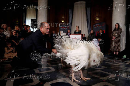 Two Minnesota turkeys are introduced a day ahead of their Thanksgiving holiday pardoning in Washington