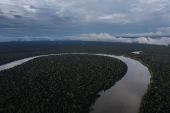 Vista area do rio Javari, em Atalaia do Norte