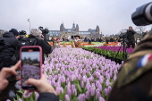 National Tulip Day marks Amsterdam's 750th anniversary