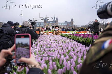 National Tulip Day marks Amsterdam's 750th anniversary