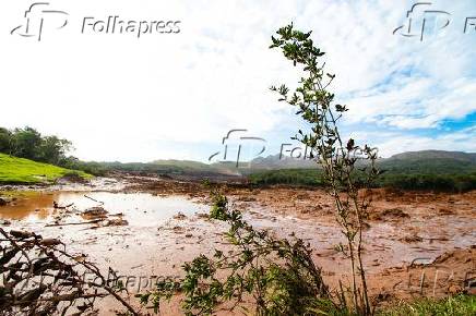 Rompimento da barragem da Vale em Brumadinho (MG)