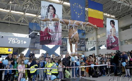 World Circus Day celebrated at Otopeni International Airport