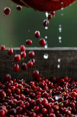 Freshly harvested coffee berries are washed in a plantation in Anolaima