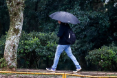 Pedestres se protegem da chuva no municpio de Passo Fundo, no Rio Grande do Sul