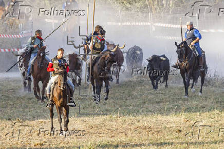 Tercer encierro de Cullar (Segovia)