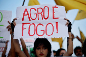 Activists take part in the global Fridays for Future climate strike, in Brasilia