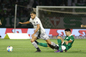 Partida entre Palmeiras e Atltico MG pelo Campeonato Brasileiro