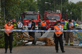 Un avin privado se accidenta y se incendia en la periferia de Buenos Aires