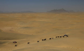 Dakar Rally - Stage 2 - Bisha to Bisha