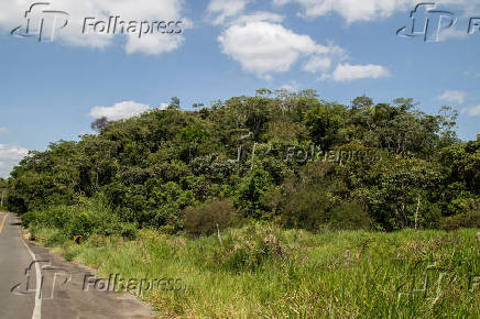 Mata atlntica s margens da rodovia federal BR-420 na regio do municpio de Cachoeira