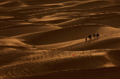 A camel caravan moves along the dunes at the Erg Chebbi sand dunes in the Sahara desert outside Merzouga