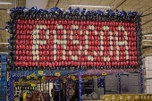 31119