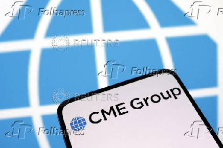 FILE PHOTO: Illustration shows CME Group Inc logo