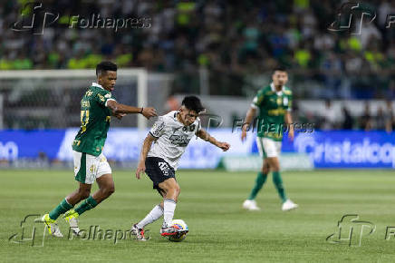 Palmeiras-Botafogo: Campeonato Brasileiro Serie A