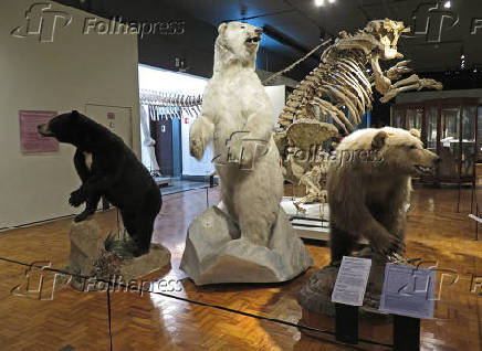 Museu de Zoologia da Universidade de So Paulo