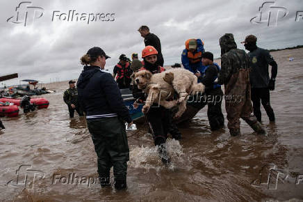 Animais so resgatadas da chuva em Porto Alegre