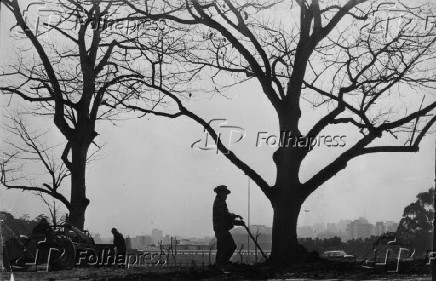 Homens trabalham na limpeza do parque Ibirapuera