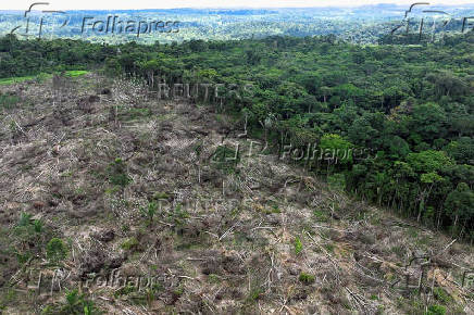 FILE PHOTO: Drone footage shows deforestation in Brazilian Amazon