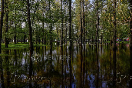 View shows a flooded area in a park in Kyiv