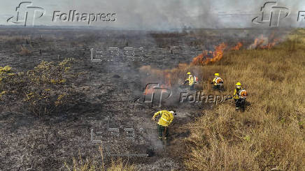 Brigada Prevfogo combate incendio en Pantanal brasileo