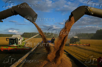 FILE PHOTO: Wheat harvest in Omsk region