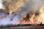 Incndio atinge canavial em Guariba