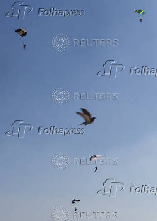 A bird flies, as professional skydivers fly over the historical site of Giza Pyramids, during the Egypt International Skydiving Festival 