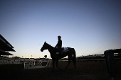 Horse Racing: Breeders' Cup Championship-Workouts