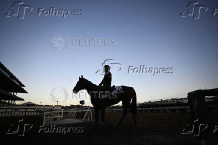 Horse Racing: Breeders' Cup Championship-Workouts